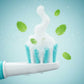 Electric Toothbrush – Long Battery Edition- FL