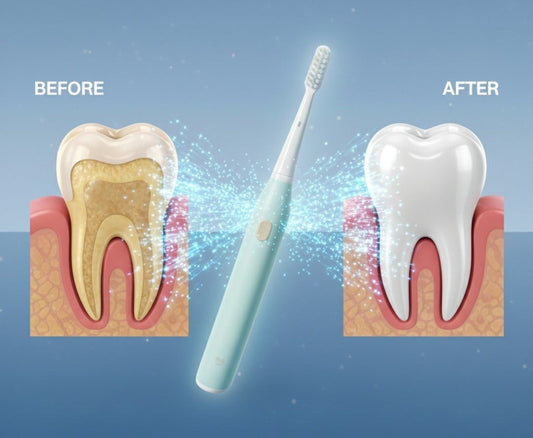 Electric Toothbrush – Long Battery Edition- FL